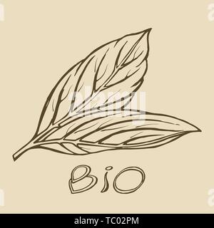 Bio leaf logo Skizze Stock Vektor
