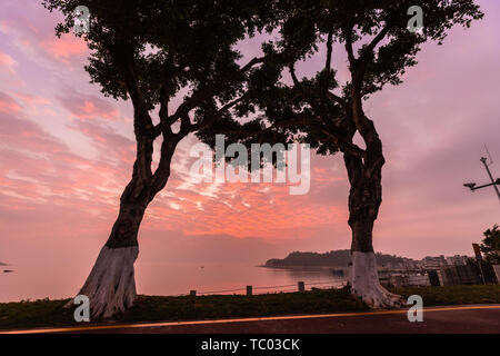 Die Landschaft von Zhuhai unter der Morgen Licht am 3. Februar 2019 ist sehr schön, vor allem die Hong Kong-Zhuhai-Macao Brücke, die auf der Oberfläche des Meeres, der besonders spektakulär ist, erstreckt. Stockfoto