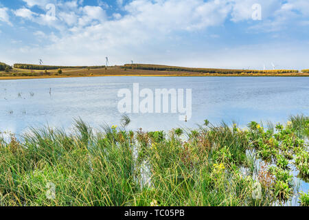 Landschaft von yueliang See Prairie Feuchtgebiet in Saihanba Yudaokou Scenic Area, Provinz Hebei Stockfoto