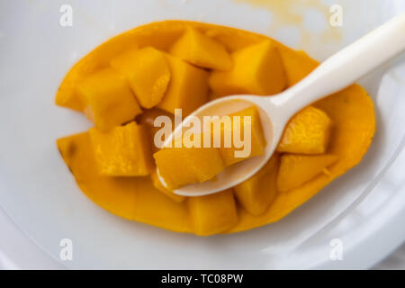 Köstliche Frucht gelb Mango, Philippinen Stockfoto