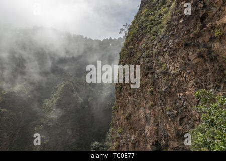 Nahaufnahme einer Eidechse auf Lavagestein in Teneriffa. Stockfoto