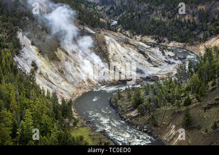 Der Aussichtspunkt von Calcit Federn über den Yellowstone River. Stockfoto