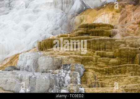 Abstraktes Bild der Kalzium- und Mineralvorkommen in Mammoth hostsprings im Yellowstone National Park. Stockfoto