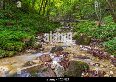 Rastenbach Schlucht am See Kaltern, Südtirol Stockfoto