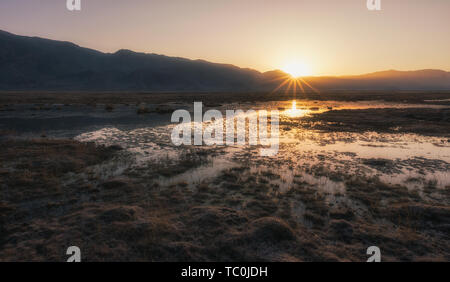 Sonnenaufgang in Golden Grass Strand, Tashkurgan, Xinjiang Stockfoto