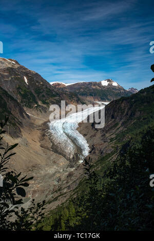 Einen weiten Blick durch die Bäume im Vordergrund der Leiter der majestätischen Salmon Glacier, British Columbia, Kanada umrahmt, schönen blauen Himmel. Stockfoto