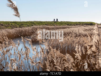 Zwei Menschen zu Fuß auf dem Fluss Hochwasserschutz Wand im Sumpfland, Boyton Sümpfe, Suffolk, England, Großbritannien Stockfoto