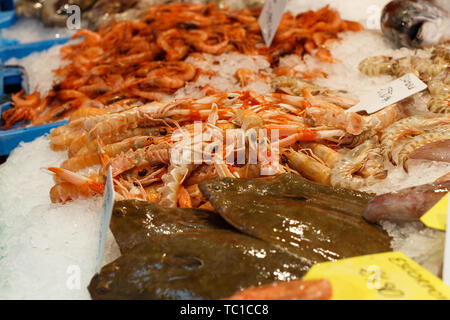 Display mit Krustentieren und Meeresfrüchten Fisch Markt öffnen Stockfoto