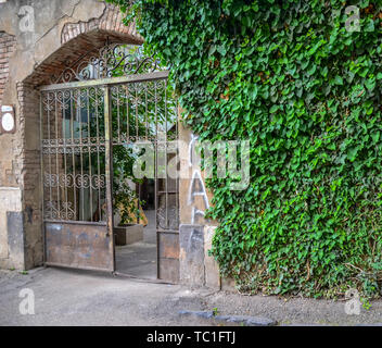 Tür im alten Haus mit herbstlichen wild Weinblättern in Tiflis abgedeckt Stockfoto