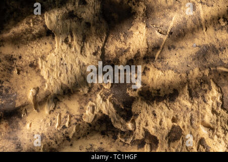 Grunge gelben Schwamm Oberflächenstruktur Stockfoto