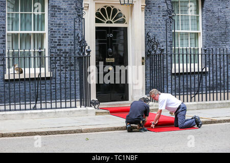 Handwerker legen Sie einen roten Teppich für den US-Präsidenten Donald Trump und First Lady Melania Trump Besuch in Downing Street am zweiten Tag Ihrer dreitägigen Staatsbesuch in Großbritannien. Larry, der 10 Downing Street cat und Chief Mouser des Cabinet Office schläft auf der Fensterbank. Stockfoto