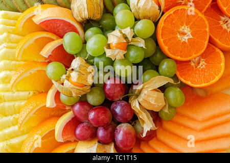 Hintergrund der geordneten frisch Tropen- und Zitrusfrüchten von oben geschnitten. Nahaufnahme. Stockfoto