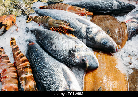 Hohen Winkel noch Leben der Vielzahl an Raw frischen Fisch auf Bett von kaltem Eis in Seafood Market Stall. Stockfoto