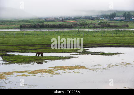 Die pastorale Landschaft der chinesisch-russischen Grenze Stockfoto