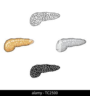 Die menschliche Bauchspeicheldrüse Symbol im Cartoon Stil, schwarz auf weißem Hintergrund. Menschliche Organe symbol Vektor Illustration. Stock Vektor