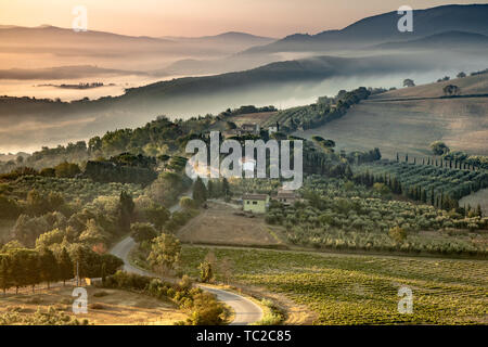 Schön neblig Toskana Hügel Landschaft in der Nähe von Florenz an einem sonnigen Morgen im August, Italien Stockfoto