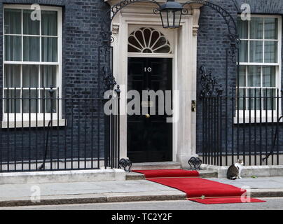 London, Großbritannien. 04 Juni, 2019. Larry die Katze draußen Downing Street Nr.10 am zweiten Tag der Staatsbesuch von US-Präsident Donald Trump nach Großbritannien. Credit: SOPA Images Limited/Alamy leben Nachrichten Stockfoto