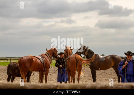 Puszta, Ungarn - 23. Mai 2019: Traditionelle csikos Reiter der Puszta Region in der Nähe von Kalocsa, Ungarn in mit Pferden corral. Stockfoto