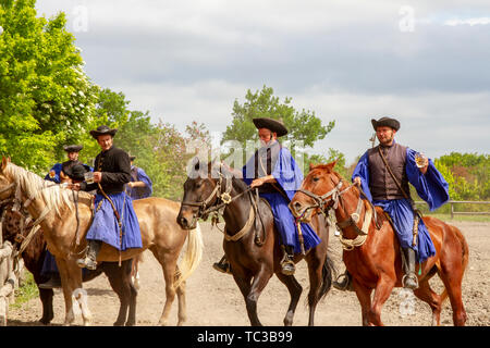 Kalocsa, Puszta, Ungarn - 23. Mai 2019: Ungarische Csikos Reiter angezeigte Reiterfahrung in der traditionellen Tracht in Countrside corral. Stockfoto