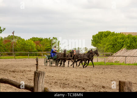 Kalocsa, Puszta, Ungarn - 23. Mai 2019: Ungarische Csikos Reiter anzeigen Reiten Fähigkeiten in der ländlichen Kalocsa, Ungarn corral. Stockfoto