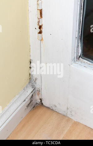 Pilz feucht, und Rost an der Tür und der Wand in der Küche. Schwarz Feuchtigkeit Schimmel an der Wand Stockfoto