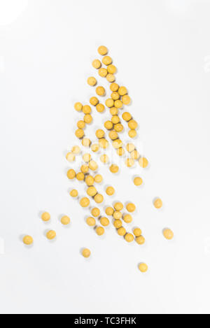 Sojabohnen auf weißem Hintergrund Stockfoto