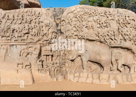 Arjunas Buße, oder Abstieg des Ganges, rock Relief mit Elefanten Figuren und Hinduismus zahlen, Mahabalipuram, Mamallapuram, Indien Stockfoto