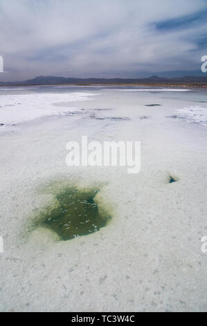 Tee qinghai See Stockfoto