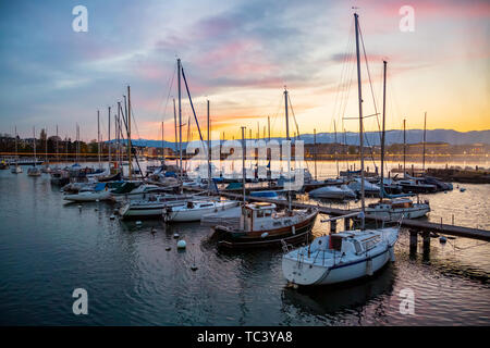 Segelboote in Genf Stadt Port Stockfoto