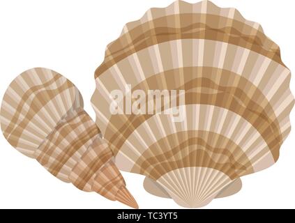 Cute seashell am Meer in weißer Hintergrund Stock Vektor