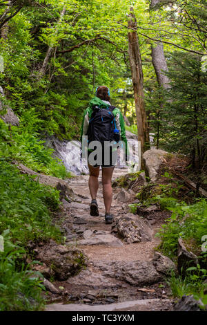 Frau Wanderungen durch Wald in den hohen Bergen in den Smokies Stockfoto