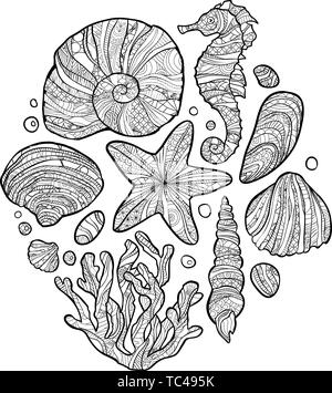 Doodle Seashell in zentangle inspirierten Stil. Malbuch für Erwachsene und ältere Kinder. Stock Vektor