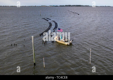 Alligator, Florida - eine Oyster Farm in Alligator Hafen, weg vom Florida Panhandle im Golf von Mexiko. Stockfoto