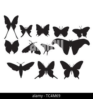 Eingestellt von Schmetterlingen, von weiß, Sammlung von Silhouetten isoliert, EPS8. Eingestellt von Schmetterlingen, von weiß, Sammlung von Silhouetten isoliert, EPS8. Stock Vektor