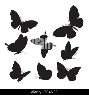 Eingestellt von Schmetterlingen, von weiß, Sammlung von Silhouetten isoliert, EPS8. Eingestellt von Schmetterlingen, von weiß, Sammlung von Silhouetten isoliert, EPS8. Stock Vektor