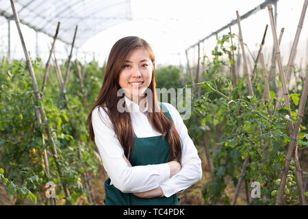 Junge schöne asiatische Frau arbeitet im grünen Feld Stockfoto