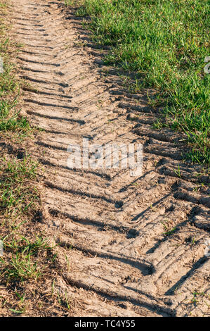 Die Spur des Traktors, trockenen Böden im Bereich Stockfoto