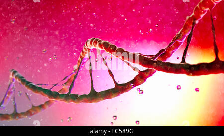 DNA Desoxyribonukleinsäure ist ein thread-wie-Kette von Nukleotiden, die genetischen Anweisungen für das Wachstum verwendet. DNA-Helix. Viren Stockfoto