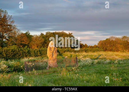 Der Rollright Stones, der König Stein bei Sonnenaufgang, Oxfordshire, England Stockfoto