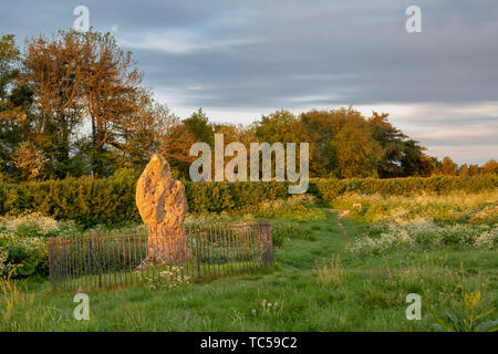 Der Rollright Stones, der König Stein bei Sonnenaufgang, Oxfordshire, England Stockfoto