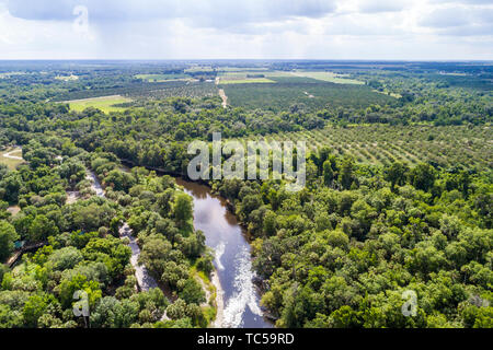 Florida, Zolfo Springs, Peace River, Pioneer Park Hardee County Wildlife Refuge, Luftaufnahme von oben, FL190514d39 Stockfoto