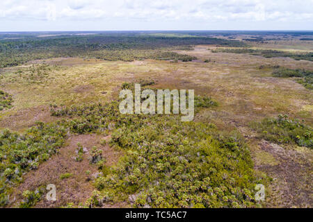 Naples Florida, Tamiami Trail Route 41, Everglades, Fakahatchee Strand State Preserve, Luftaufnahme aus der Vogelperspektive oben, Besucher reisen tou Stockfoto