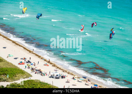 Miami Beach Florida, North Beach, Atlantischer Ozean, Kiteboarding, Kitesurfing, Kitesurfing, Wassersport, Küstenlinie, Algen, Sargassum, FL190331042 Stockfoto