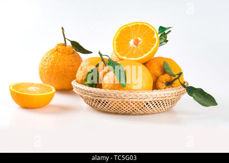 Frisches Obst, Orangen, Orangen, kein Feuer, hässlichen Orangen. Stockfoto