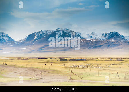 Auf der Bayinbrook Prairie im frühen Frühling, unter den riesigen schneebedeckten Berge sind Weiden und Häuser der Hirten. Stockfoto