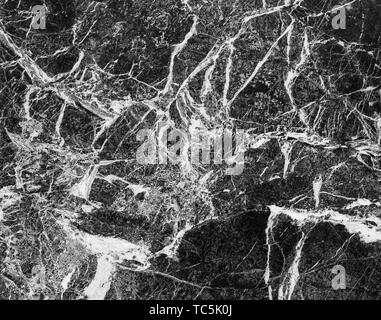 Seltene natürliche Marmor wall Panel. Schwarzen und weißen Hintergrund Textur. Stockfoto