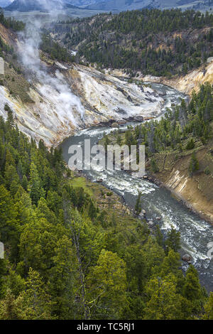 Der Aussichtspunkt von Calcit Federn über den Yellowstone River. Stockfoto