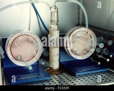 Anzeigen von rotierenden Bioreaktor wand Fischereifahrzeuge, die so konzipiert und Gewebeproben im Raum des NASA Marshall Space Flight Center (LINKS), Huntsville, Alabama, 1998 zu wachsen. Mit freundlicher Genehmigung der Nationalen Luft- und Raumfahrtbehörde (NASA). () Stockfoto