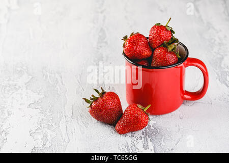 Frische Erdbeeren in rot Emaille Tasse auf grauem Hintergrund. Platz für Text. Stockfoto