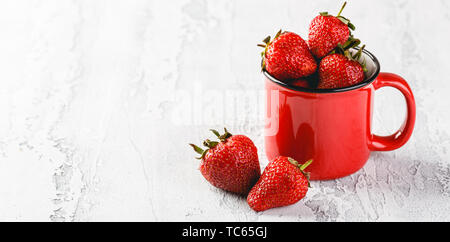 Frische Erdbeeren in rot Emaille Tasse auf grauem Hintergrund. Platz für Text. Lange breite Banner Stockfoto
